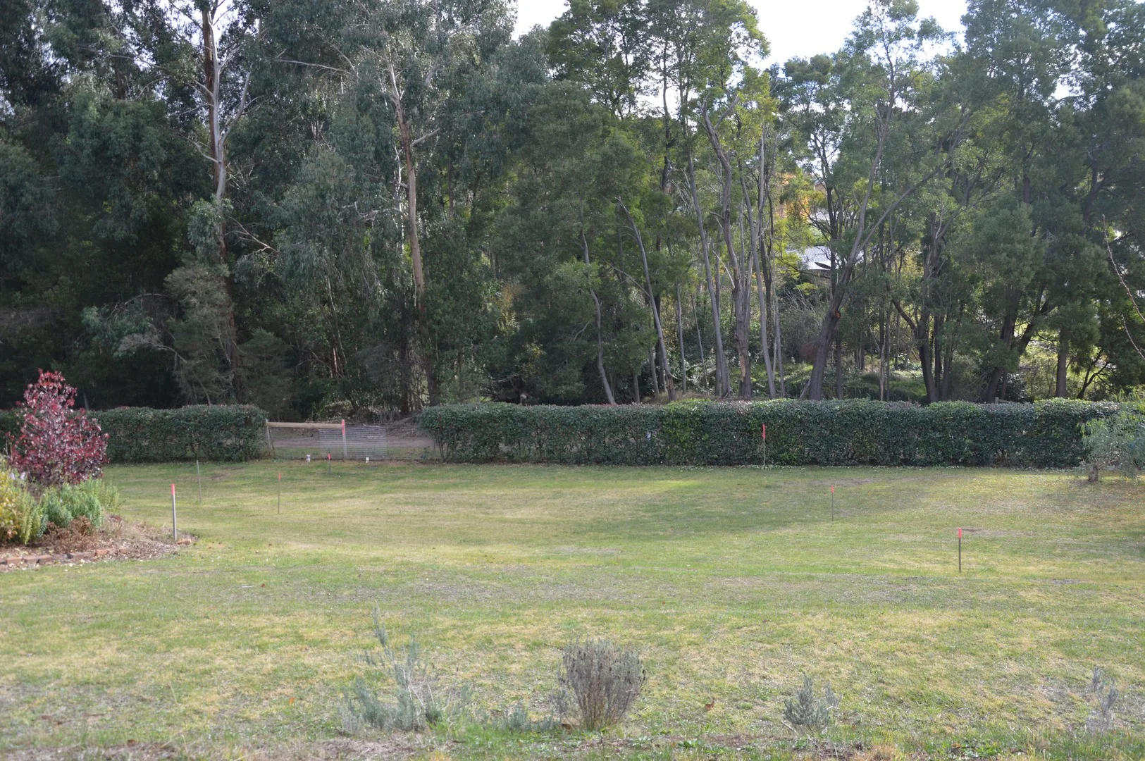 6/5 Stansfield Court, Leongatha VIC 3953