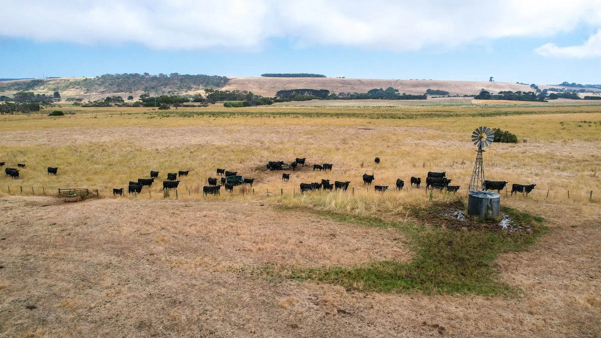 Additional image 6 of 6 Orchards Road, Narrawong VIC 3285