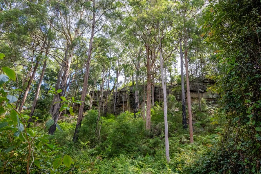 Additional image 9 of 1458 Sherwood Creek Road, Sherwood NSW 2450