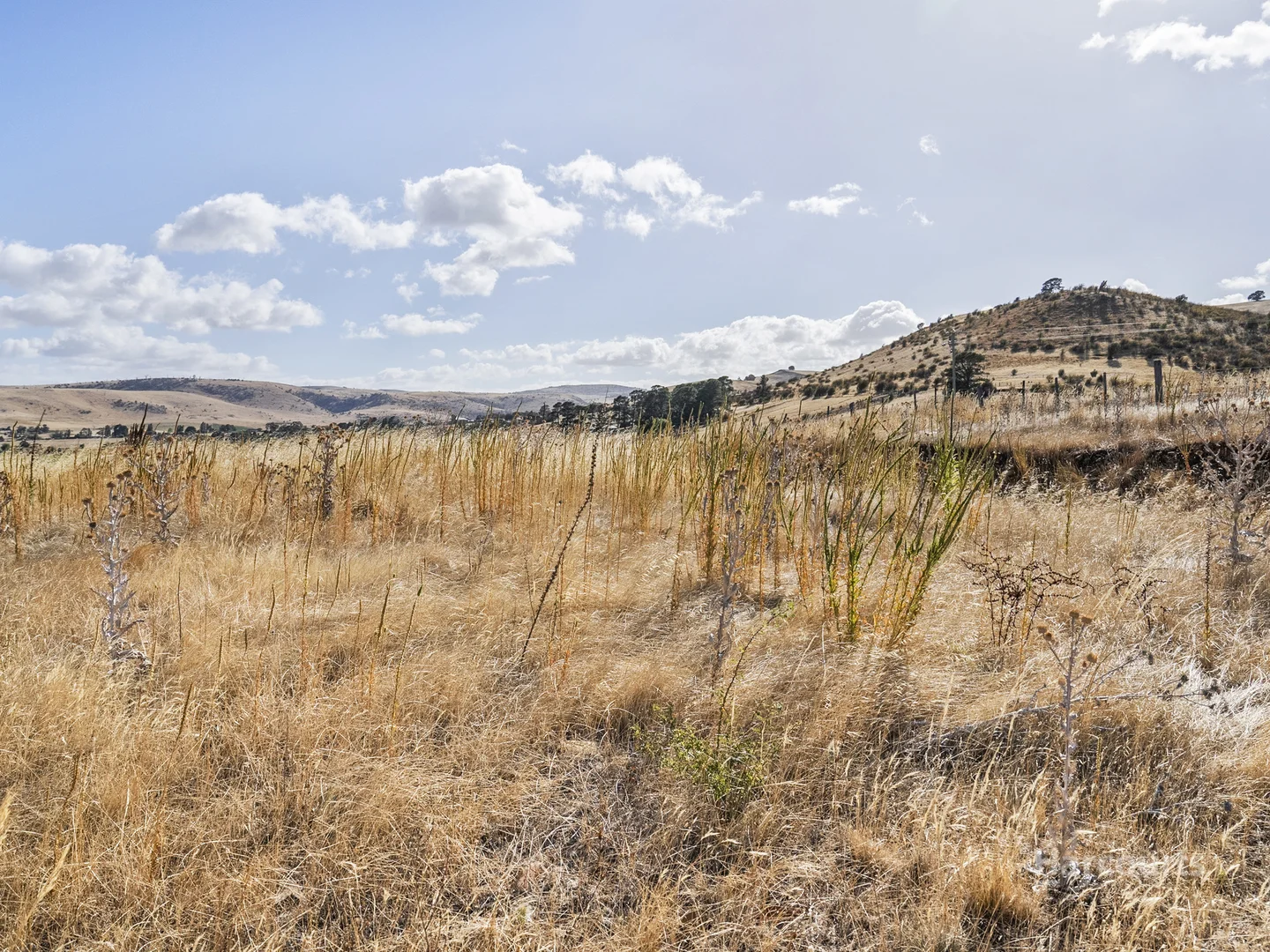 Additional image 6 of Lot 5 Upper Mill Road, Hamilton TAS 7140