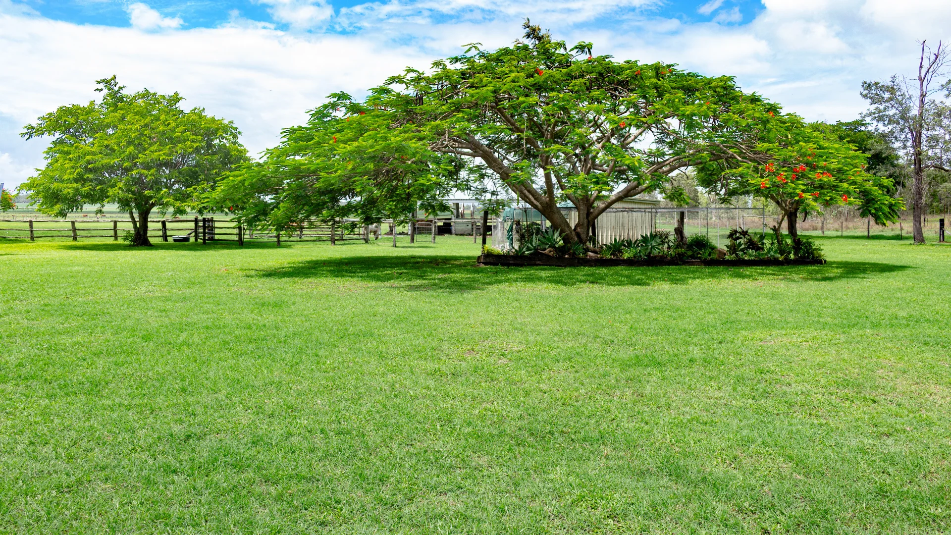 Additional image 24 of 290 Bells Road, Palmyra QLD 4751