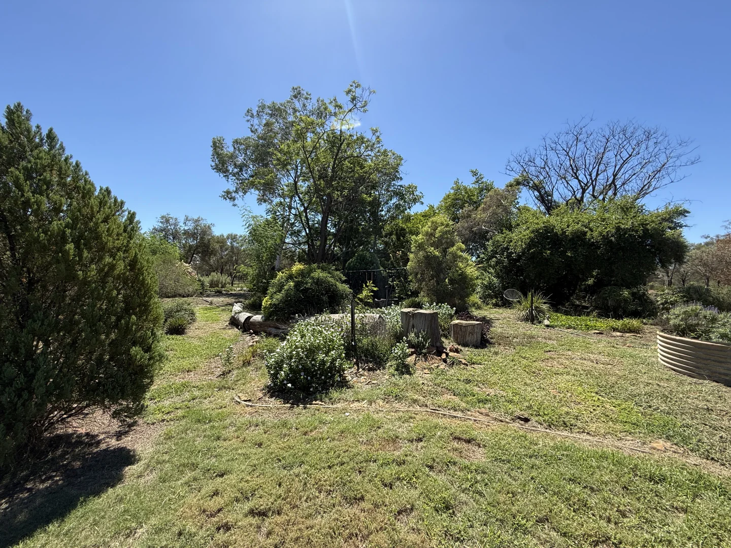 Additional image 25 of 1684 Diamantina Developmental Road, Charleville QLD 4470