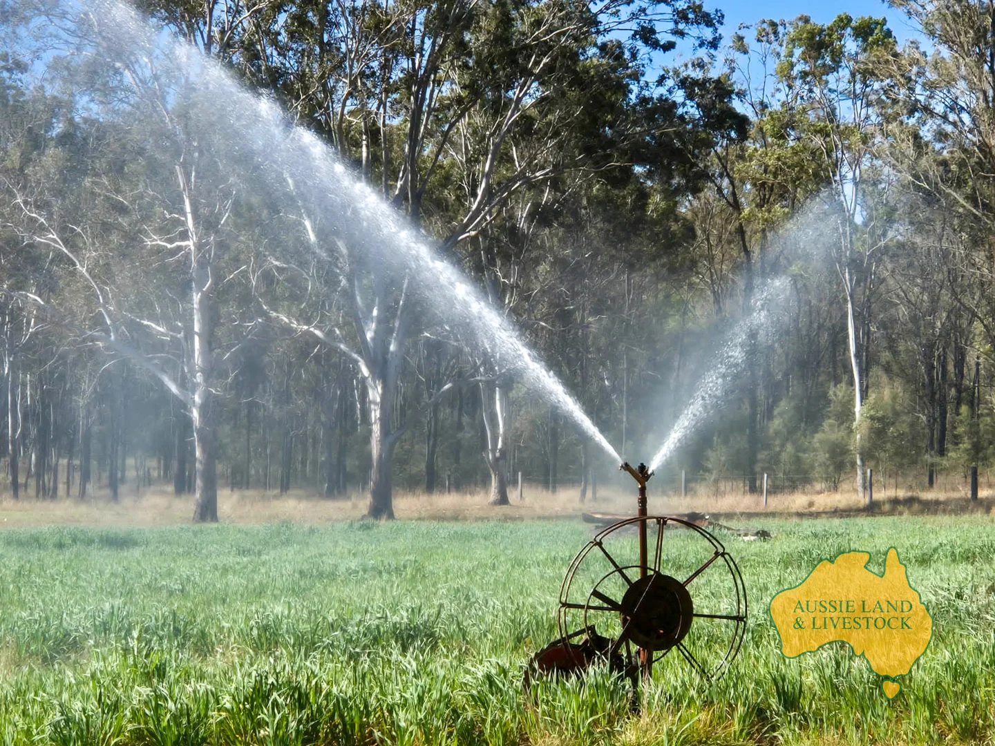 Additional image 4 of 512 Bicks Road, Cloyna QLD 4605