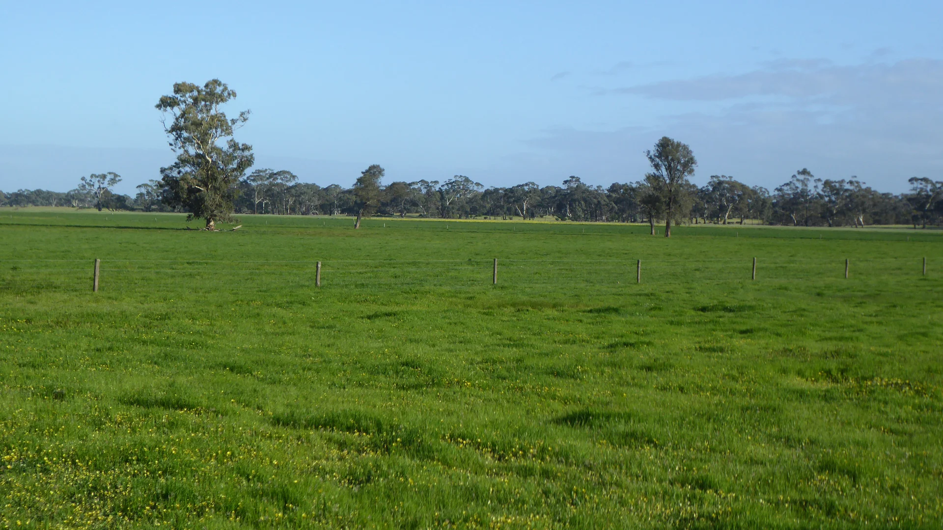 Additional image 5 of 2448 Bangham Road, Frances SA 5262