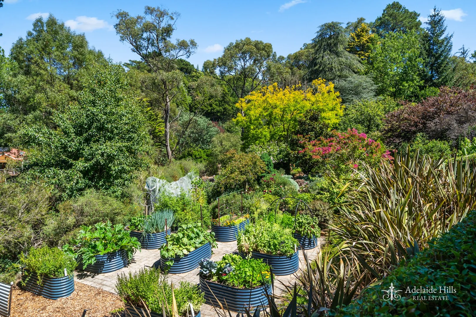 Additional image 20 of 6 Bracken Road, Stirling SA 5152