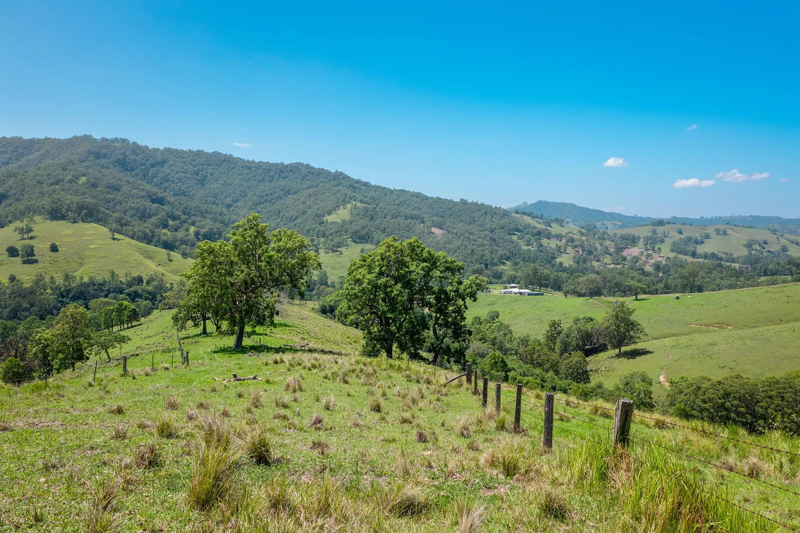 Additional image 22 of 321 Masseys Creek Road, Eccleston NSW 2311