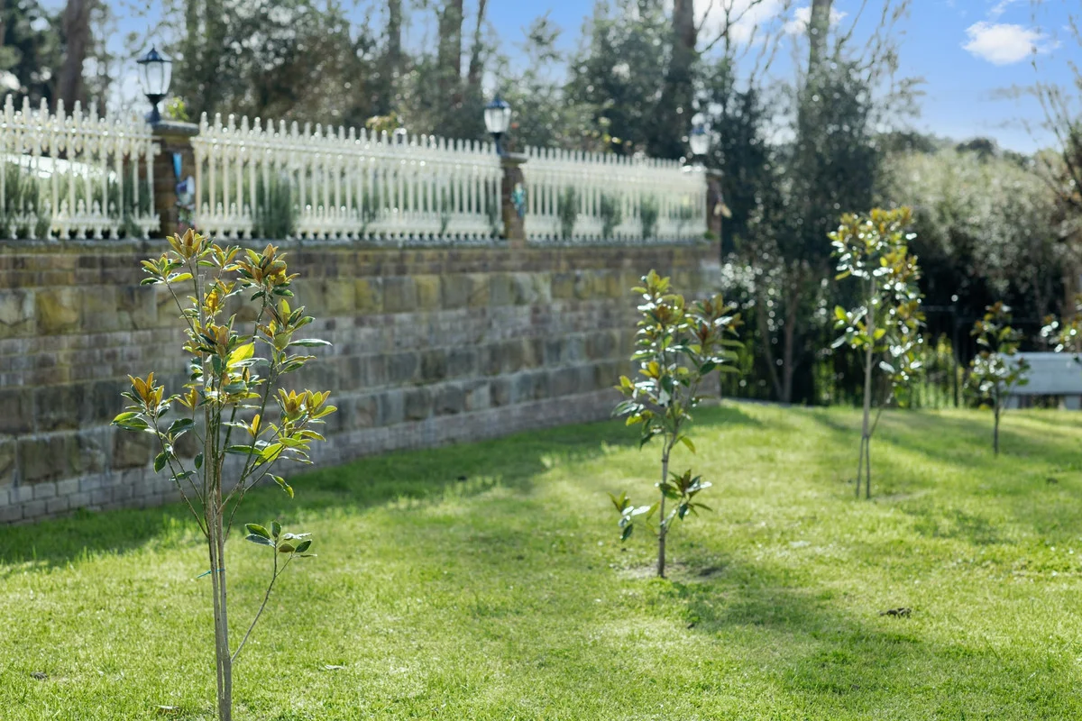 Additional image 21 of 96 George Street, Marulan NSW 2579