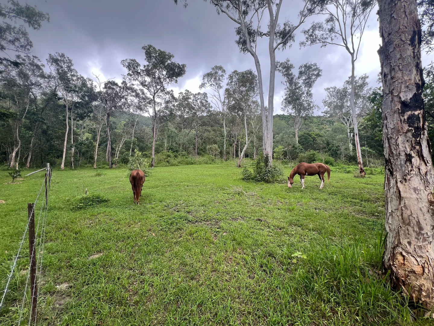 Additional image 28 of 297 Smith Cross Road, Devereux Creek QLD 4753