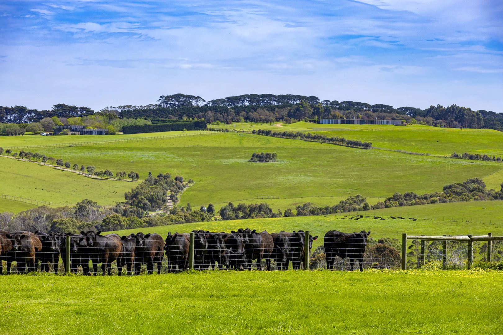 Additional image 3 of 390 Keys Road, Flinders VIC 3929