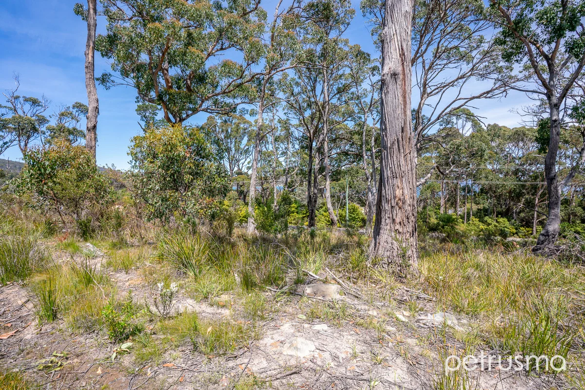 Additional image 17 of 1/185 White Beach Road, White Beach TAS 7184