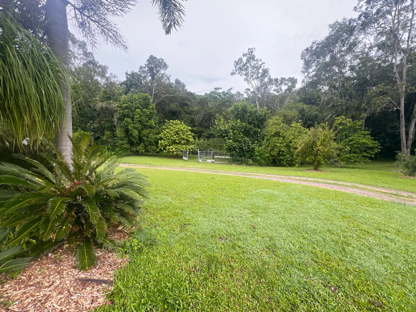 Additional image 27 of 297 Smith Cross Road, Devereux Creek QLD 4753