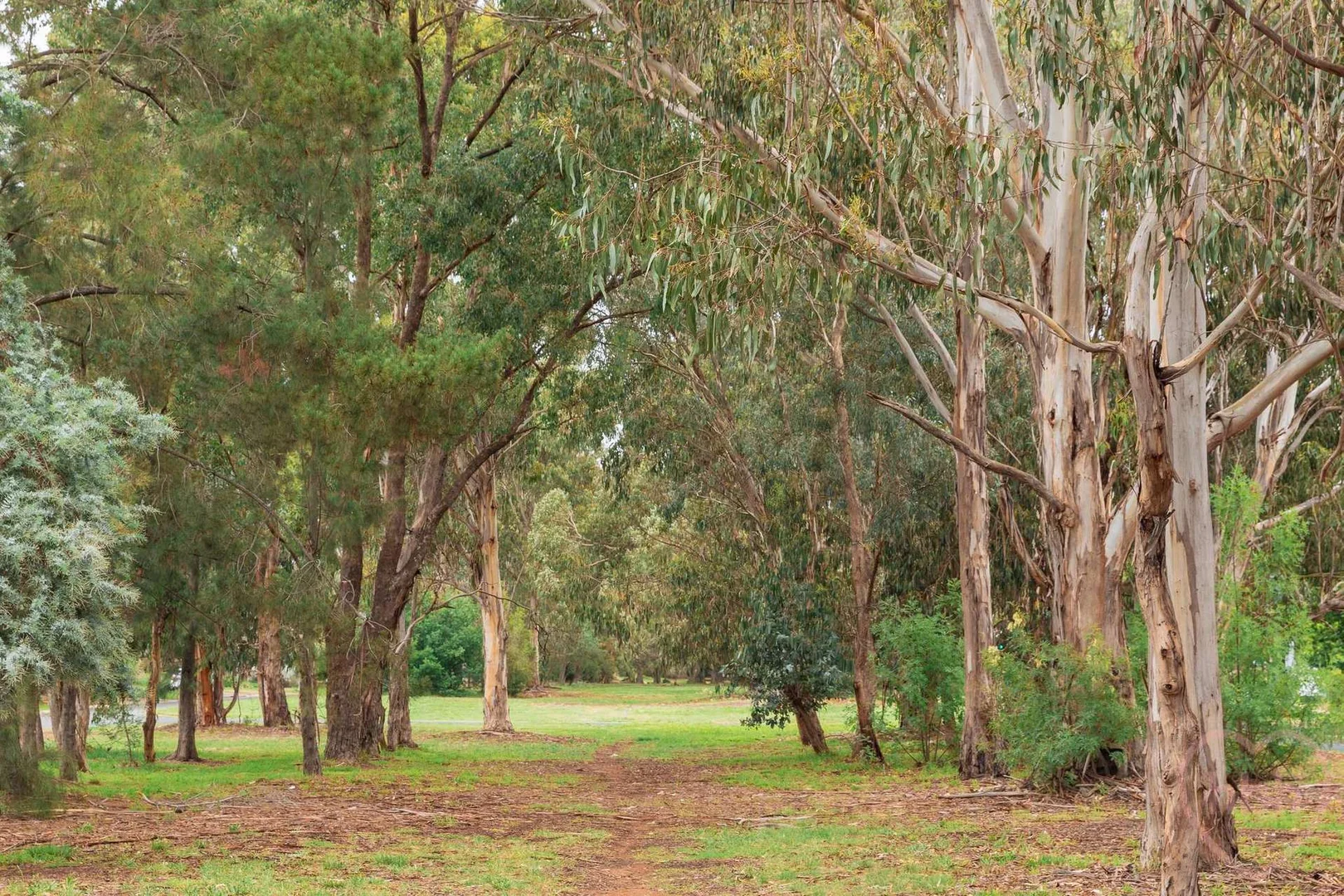 Additional image 33 of 244 Antill Street, Hackett ACT 2602