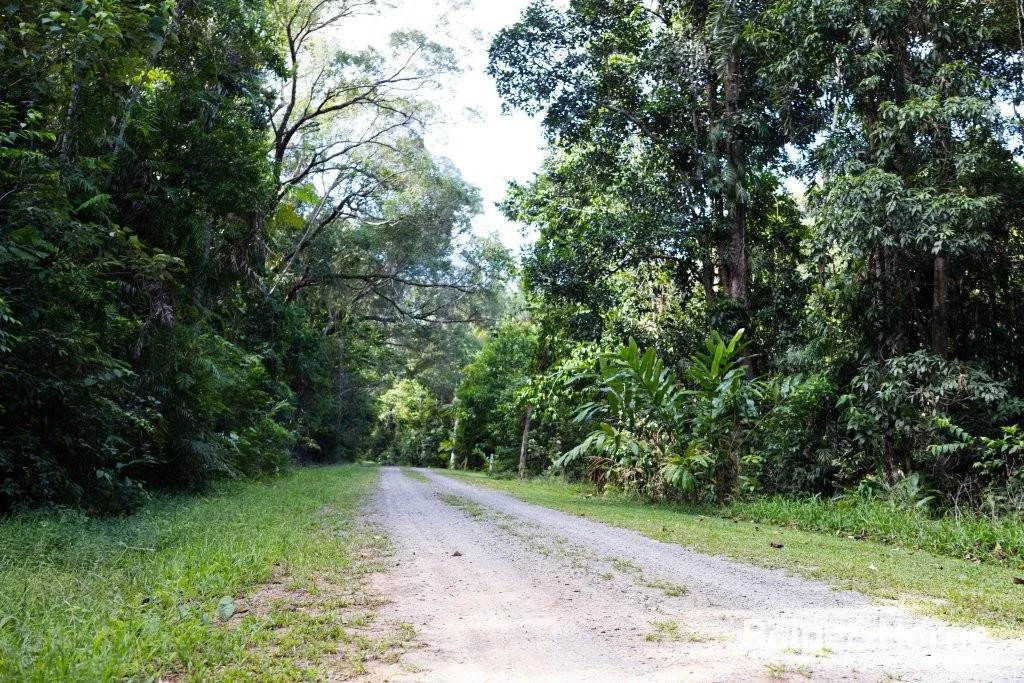 Additional image 3 of Lot 11 Milky Pine Road, Kimberley, Daintree QLD 4873