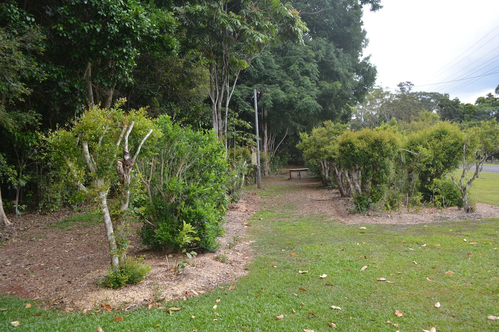 Additional image 43 of 20 Russell Road, Lake Eacham QLD 4884