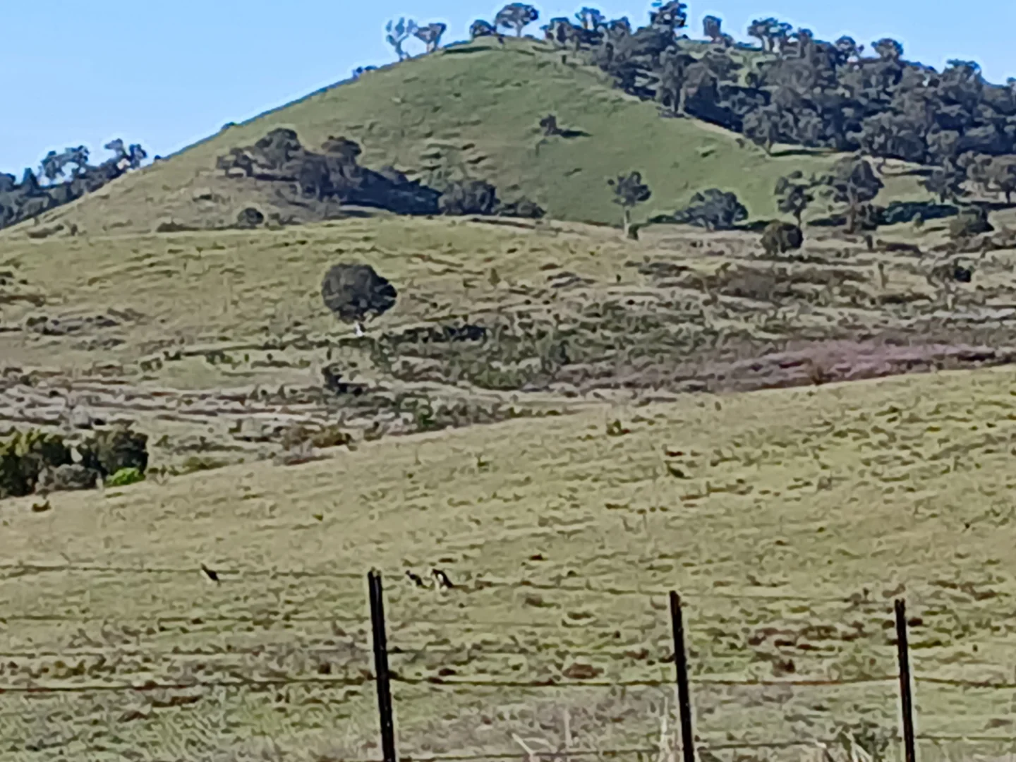 Additional image 4 of Lot 161 Eldridges Lane, Taylors Flat NSW 2586