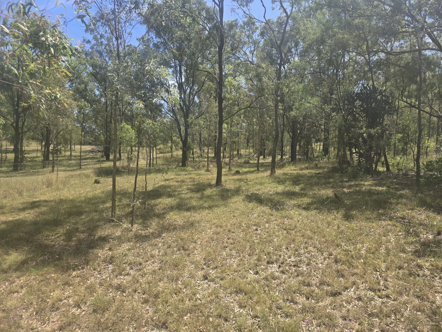 Additional image 12 of Lot 389 East Cooyar Road, Cooyar QLD 4402
