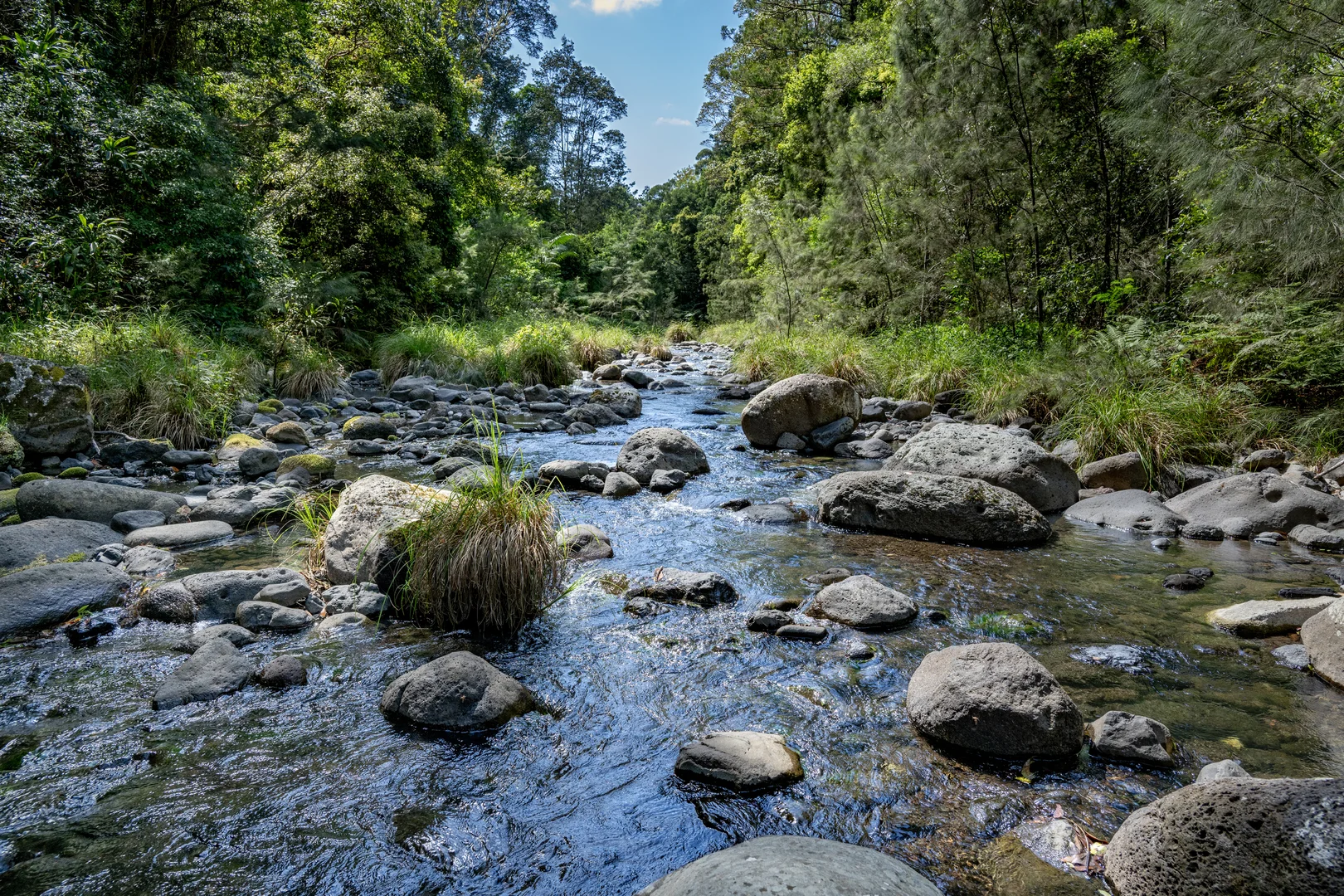 Additional image 30 of 3196 Christmas Creek Road, Lamington QLD 4285