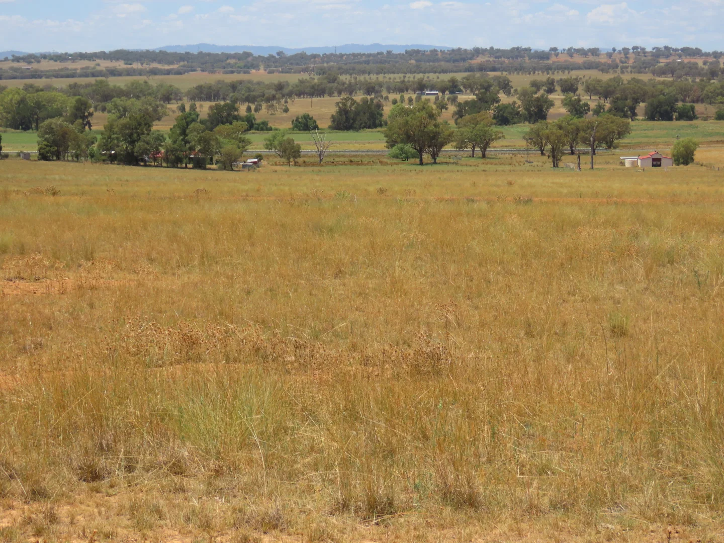 Additional image 9 of "Wattle-wee-doo" 14213 New England HWY, Timbumburi NSW 2340