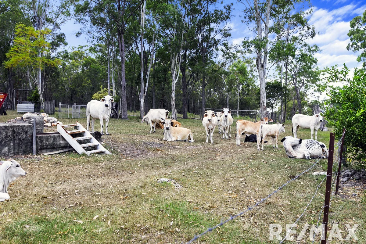 Additional image 3 of Two Thirty Two Road, Duckinwilla QLD 4650