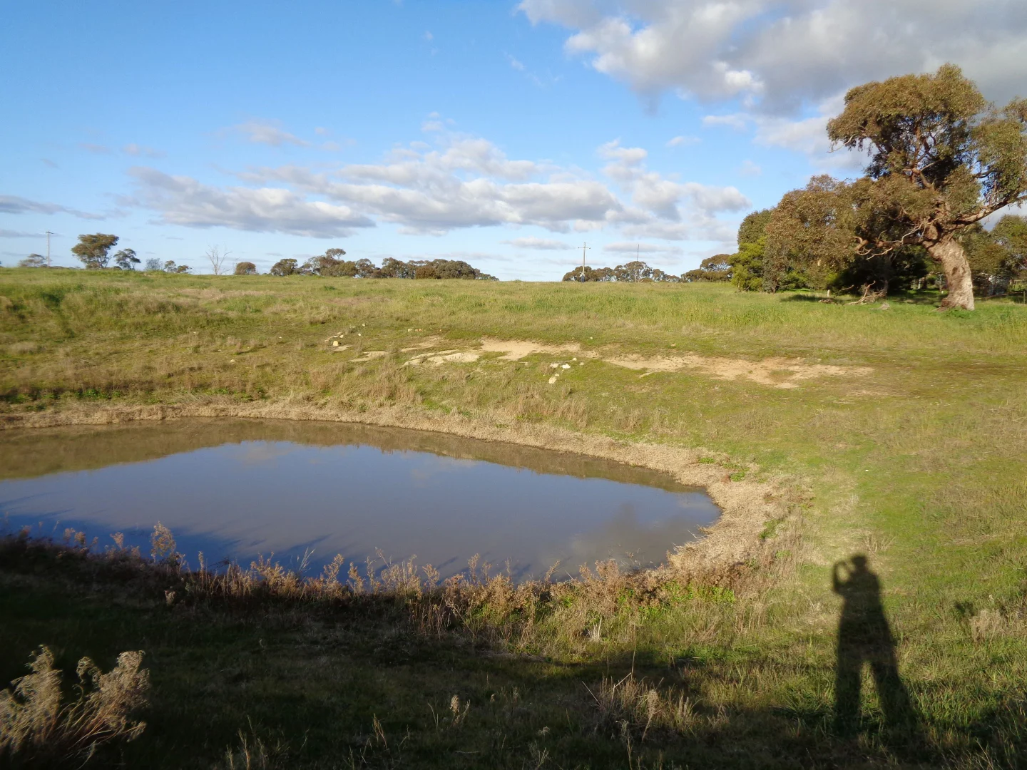 Additional image 15 of 2 Springvale Road, Lockwood South VIC 3551