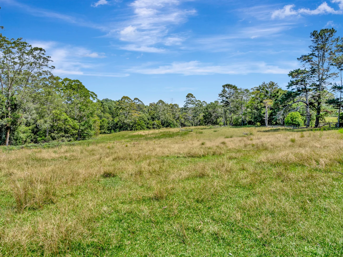 Additional image 16 of 1445 Eastern Dorrigo Way, Lowanna NSW 2450