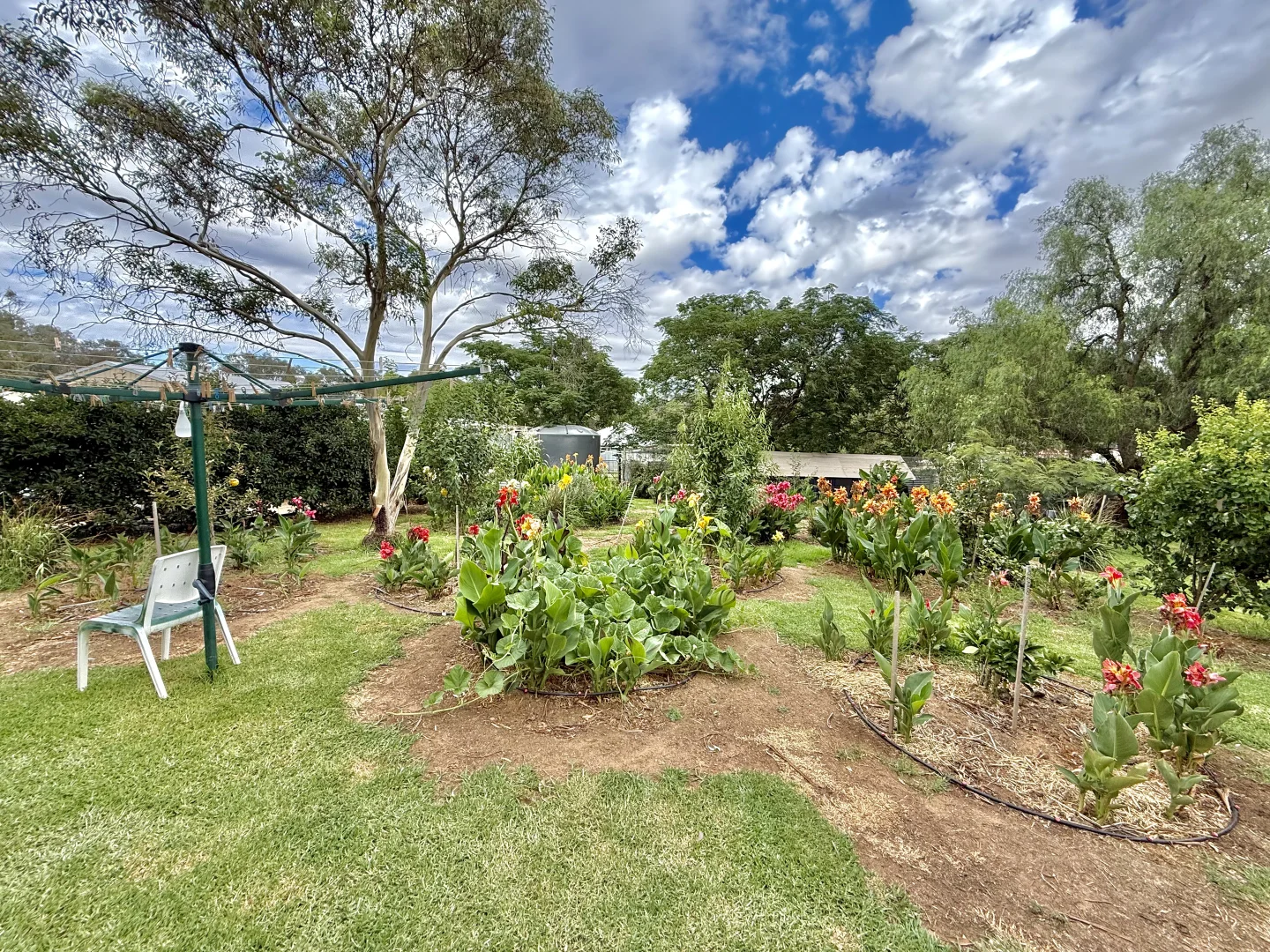 Additional image 19 of 67 Fowler Street, Monteagle Via, Young NSW 2594