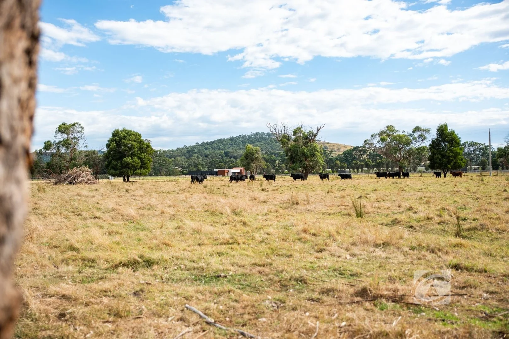 Additional image 3 of 425 Toomuc Valley Road, Pakenham VIC 3810