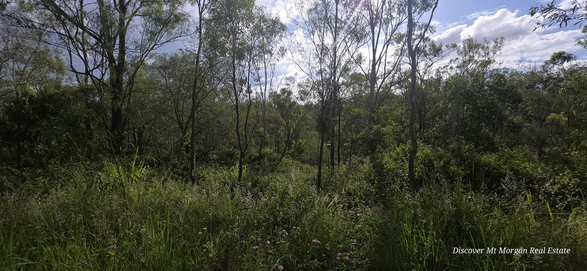 Additional image 16 of Lot 9 Struck oil Road, Struck Oil QLD 4714