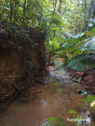 Additional image 7 of Lot 11 Milky Pine Road, Kimberley, Daintree QLD 4873