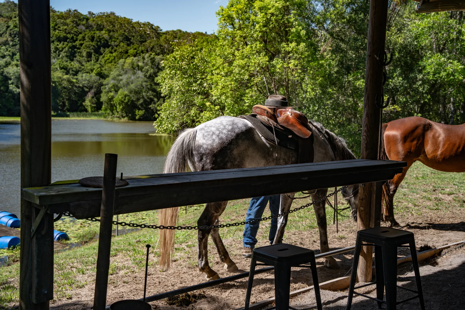 Additional image 12 of 165 Larneys Lane, Eerwah Vale QLD 4562
