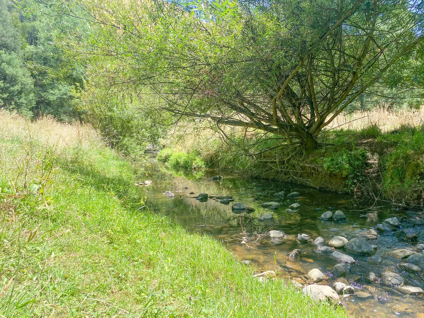 Additional image 23 of 1725 Wild Dog Valley, Strzelecki VIC 3950