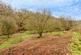 Additional image 33 of Penybont, Carmarthenshire SA33