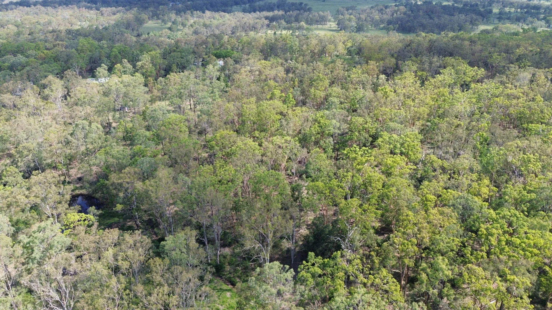 Additional image 11 of 12 Kumbia Road, Ellesmere QLD 4610