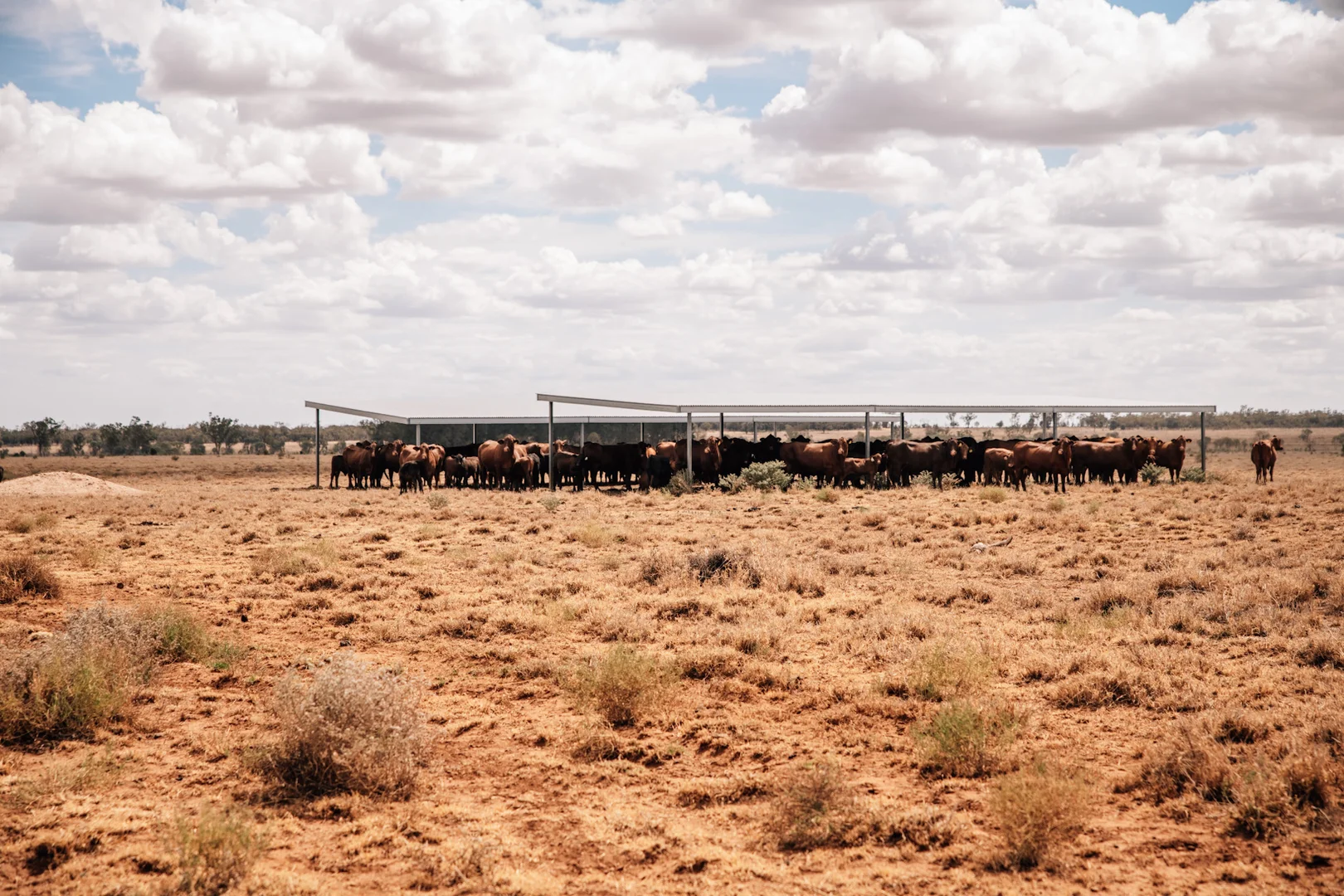 Additional image 6 of Tingun QLD 4455