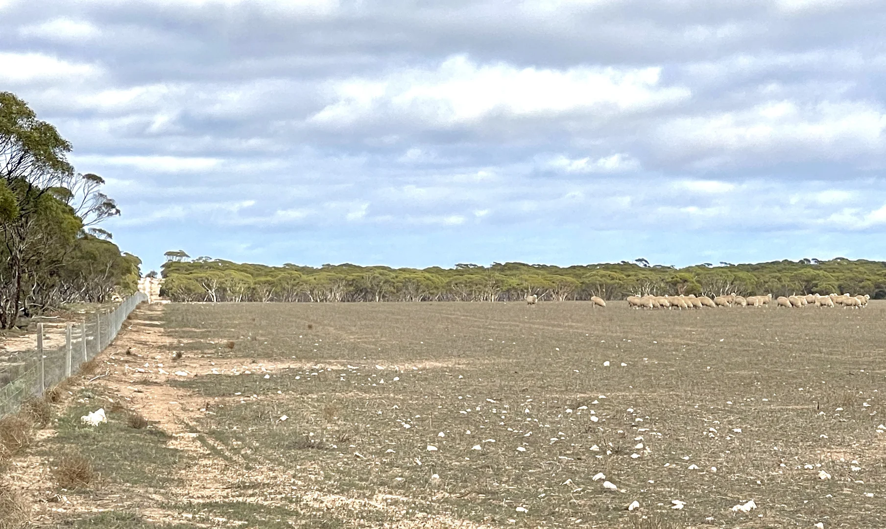 Additional image 6 of Section 22 Marchant Road, Mudamuckla SA 5680