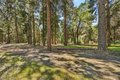 Additional image 60 of 28245 Big Dipper Rd, Colfax, CA, 95713