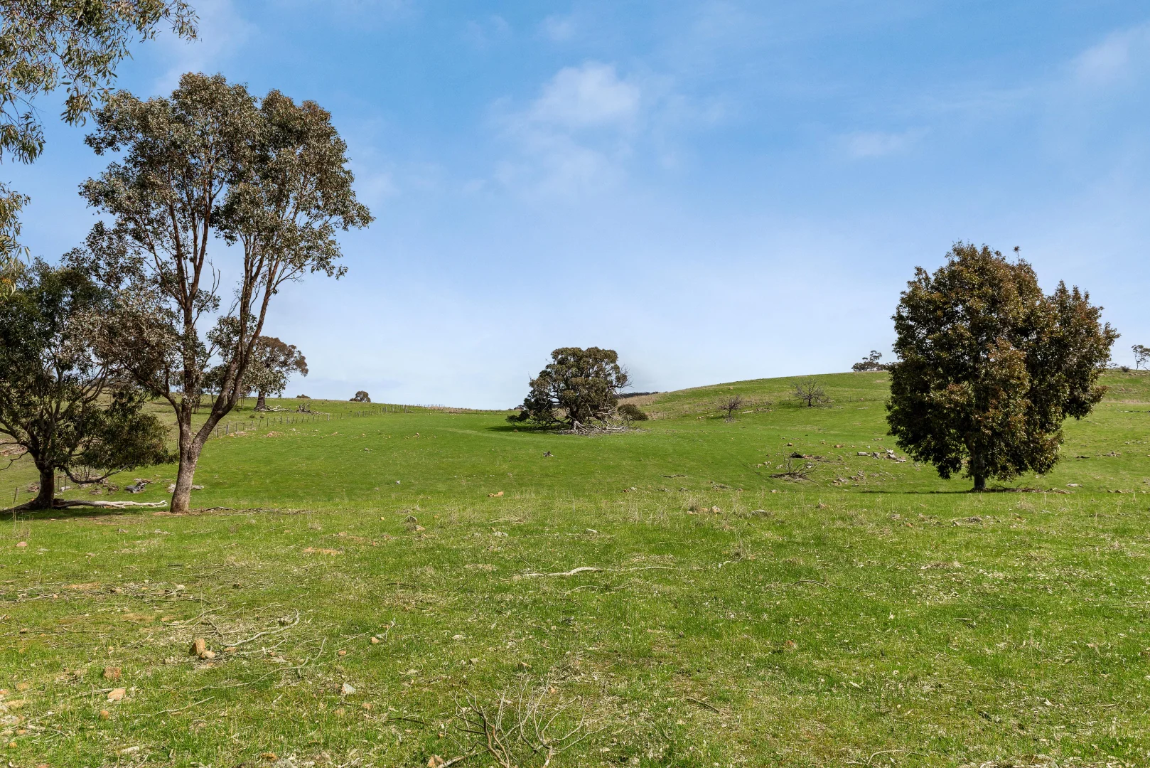 Additional image 8 of 505 Hardings Lane, Tooborac VIC 3522