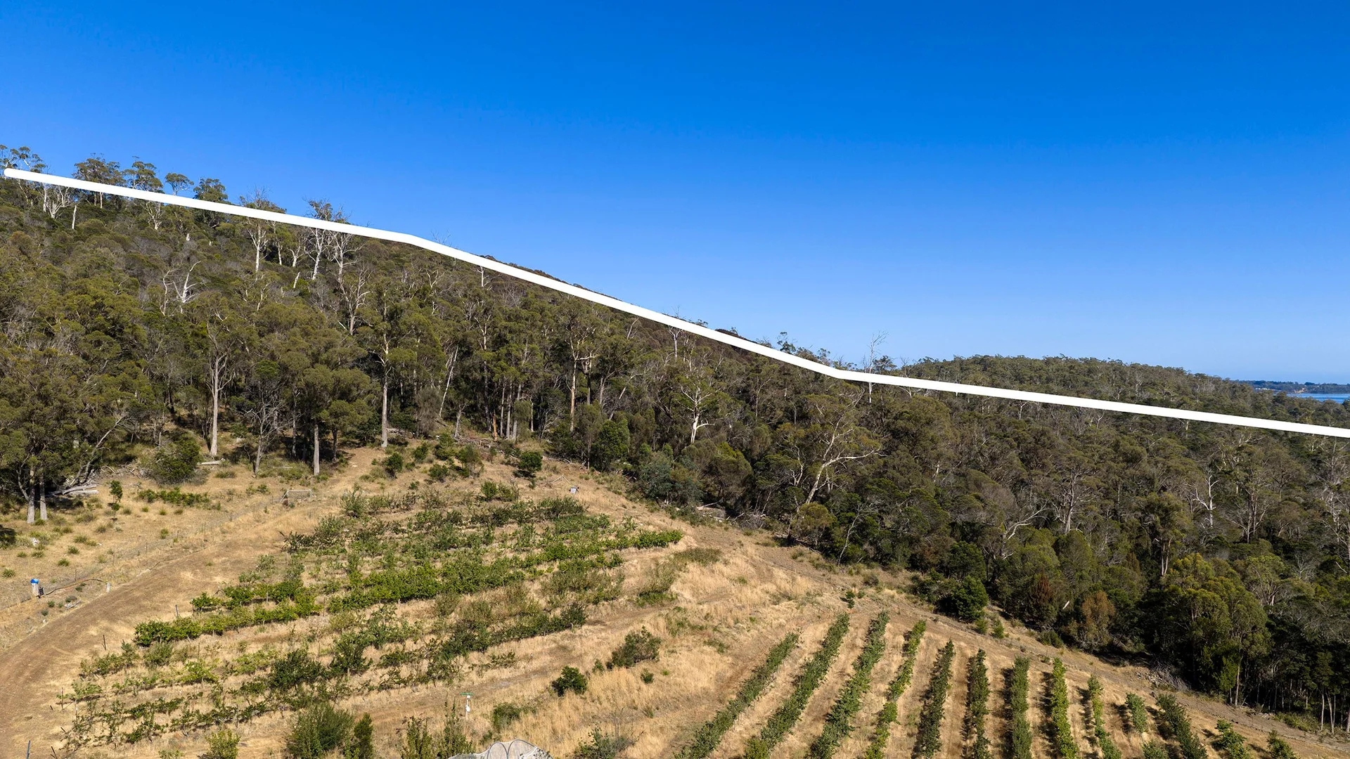 Additional image 9 of 389 Auburn Road, Beaconsfield TAS 7270