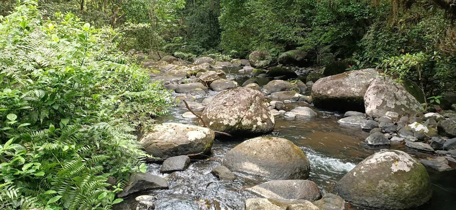 Additional image 9 of 9 Middlebrook Rd, Millaa Millaa QLD 4886