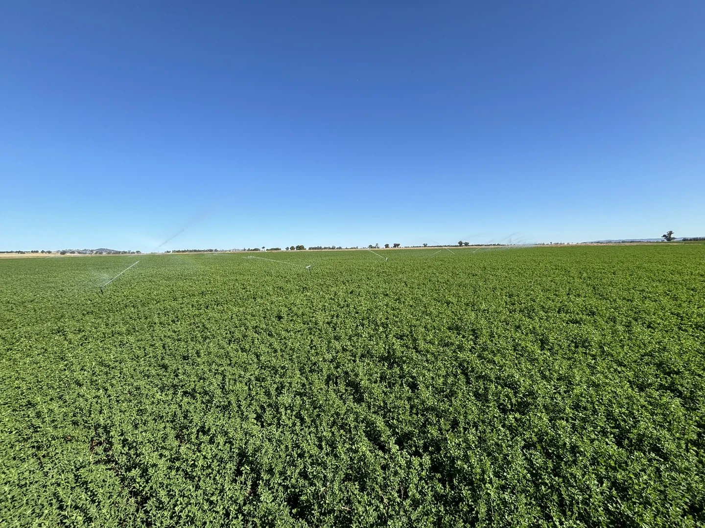 Additional image 10 of North Logan Road, Cowra NSW 2794