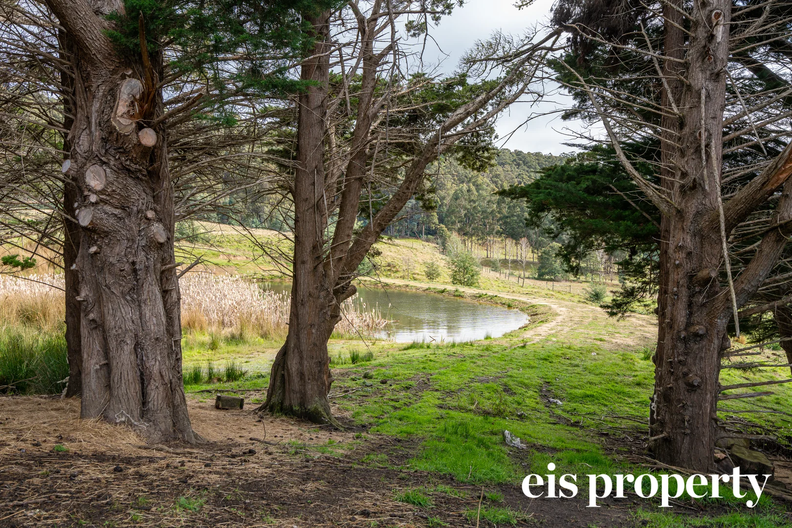 Additional image 28 of 6040 Huon Highway, Glendevie TAS 7109