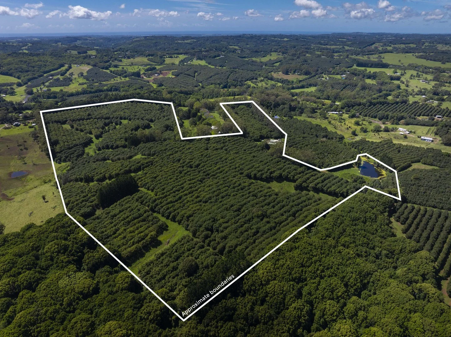 McLeans Ridges NSW 2480