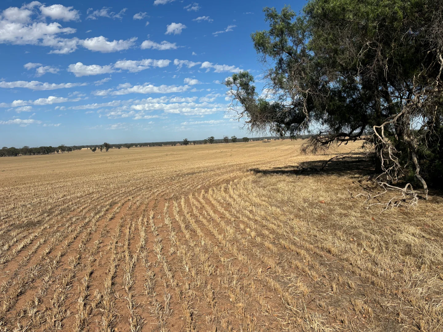Additional image 8 of 00 Cnr Collins Road & Marktree Rd, Corop VIC 3559