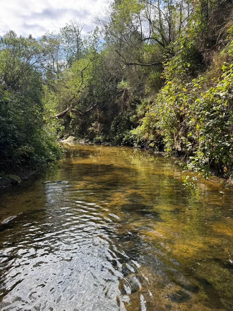 Additional image 8 of 1725 Wild Dog Valley, Strzelecki VIC 3950
