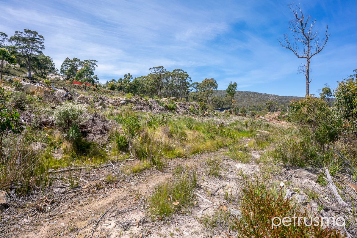 Additional image 16 of 1/185 White Beach Road, White Beach TAS 7184