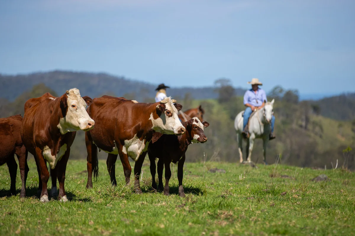 Additional image 29 of Bingeebeebra Creek, Mummulgum NSW 2469