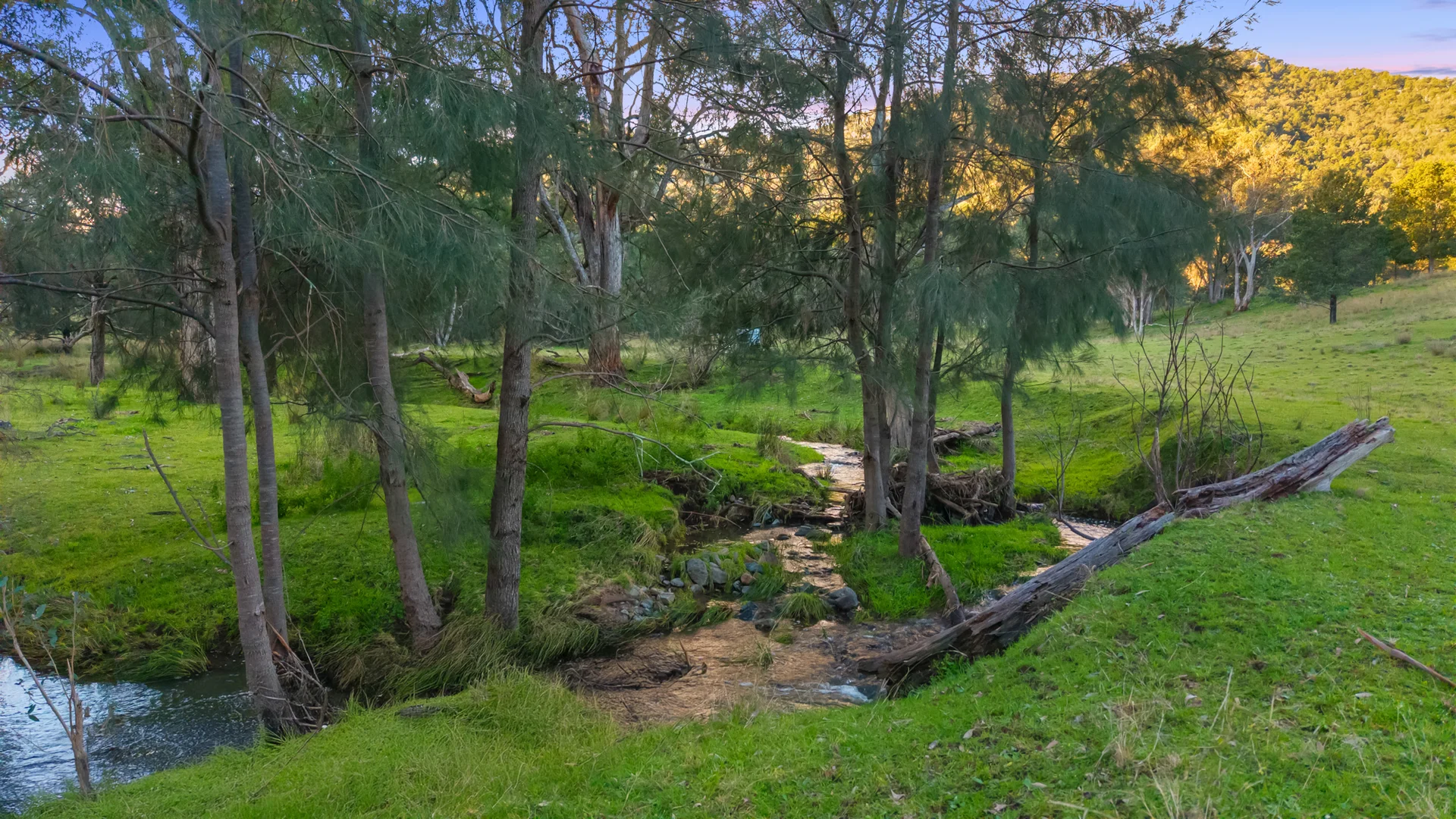 Additional image 33 of 24 Drop Bear Lane, Tamworth NSW 2340