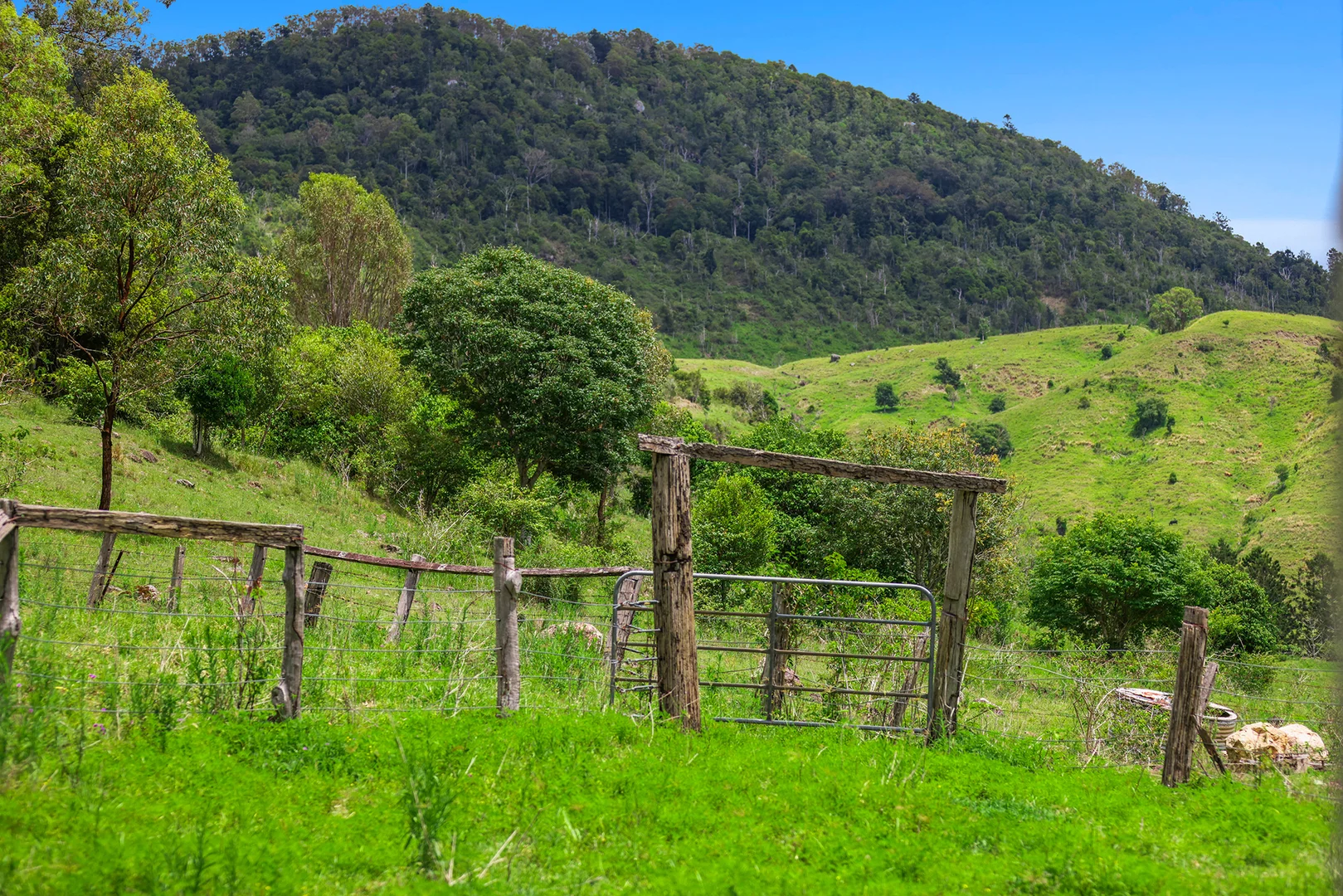 Additional image 25 of 248 Illinbah Road, Illinbah QLD 4275