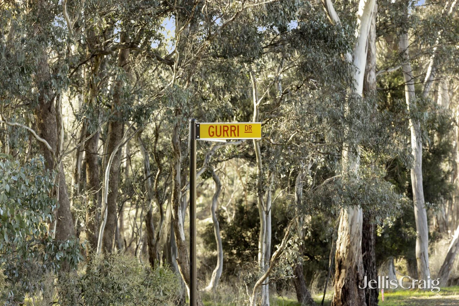 Additional image 4 of 24 Gurri Drive, Campbells Creek VIC 3451