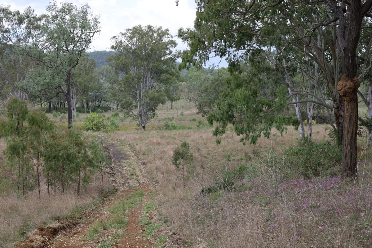 Additional image 23 of 479 Pine Mountain Creek Road, Monto QLD 4630